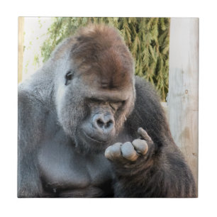 FUNNY GORILLA TEGELTJE