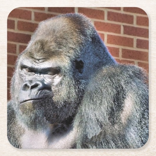 FUNNY GORILLA VIERKANTE KARTONNEN ONDERZETTER (Voorkant)