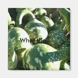Funny Gourds/What the.. Quote Magnet Magneet