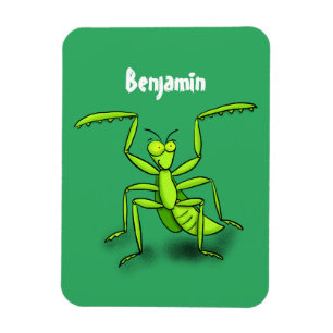 Funny green praing mantis cartoon illustratie magneet