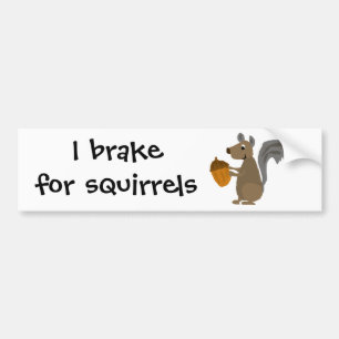Funny Grey Squirrel met Acorn Bumpersticker