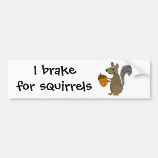Funny Grey Squirrel met Acorn Bumpersticker