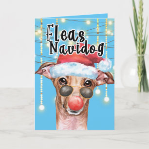 Funny Greyhound Santa dog Kaart