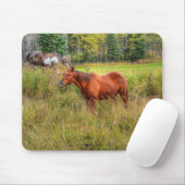 Funny Grinning Chestnut Mare & Pasture Foto Muismat (Met muis)