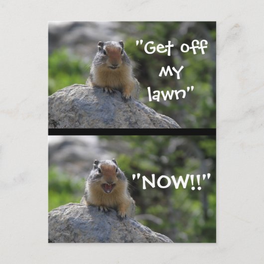 Funny Ground Squirrel Briefkaart (Voorkant)