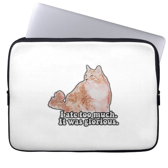 Funny grumpy cat meme for cat and kat lovers laptop sleeve (Voorkant)