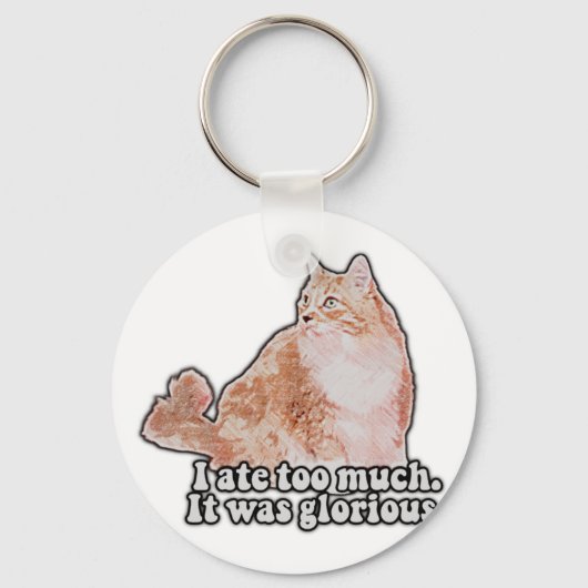 Funny grumpy cat meme for cat and kat lovers sleutelhanger (Voorkant)
