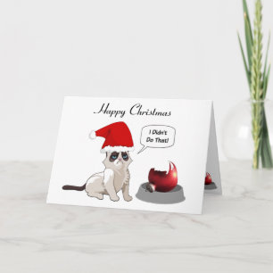 Funny Grumpy Kitten-kerstkaart Feestdagen Kaart