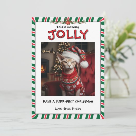 Funny Grumpy Sphynx Cat in Sweater Custom Feestdagenkaart (Staand voorkant)