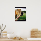 Funny had gevapt poster moeten hebben (Keuken)