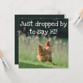 Funny Hallo Greetings Cute Farm Animals Kaart (Voorkant / Achterkant in situ)