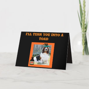 Funny Halloween Card w/Cute Basset Witch en Frog Kaart