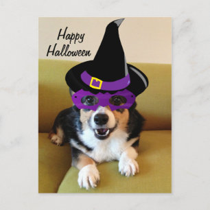 Funny Halloween Corgi in Costume Briefkaart