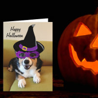 Funny Halloween Corgi in Costume