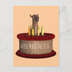 Funny Happy Birthday Camel Briefkaart