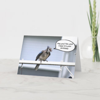 Funny Happy Birthday card - Blue Jay carte d'anniv