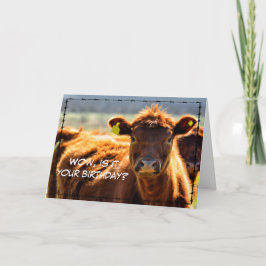 Funny Happy Birthday Country Farm Mail Farm Tales  Kaart