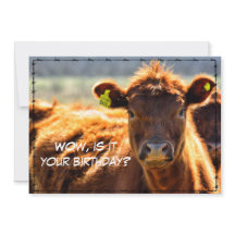 Funny Happy Birthday Country Mail Tales uit Boerde