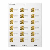 Funny Happy  Cats Kittens Speeltuin Swing Etiket (Full Sheet)