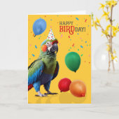 Funny Harlequin Macaw Parrot Birthday Kaart (Gele Bloem)