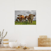 Funny Herd van Koeien in de puinhoop Poster (Keuken)