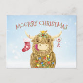 Funny Highland Cow Christmas mignonne Carte postal (Devant)