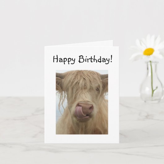 Funny Highland Koe Birthday Kaart (Kleine Plant)