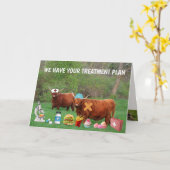 Funny Highland Steer krijgt het goed Kaart (Gele Bloem)