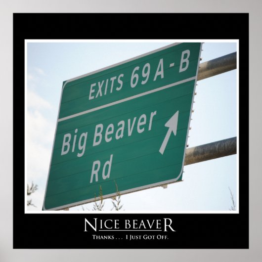Funny Highway Sign, Big Beaver Road Exit 69 Poster (Voorkant)