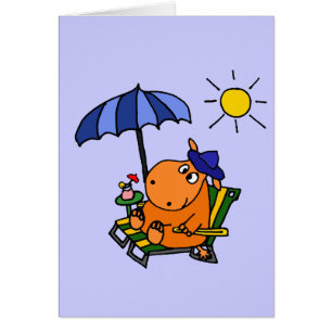 Funny Hippo bij de Beach