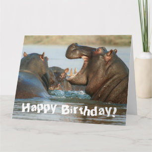 Funny Hippopotamus Hippo Happy Birthday Kaart