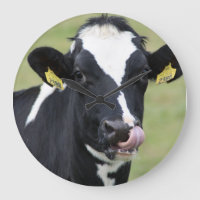 Funny Holstein-klok