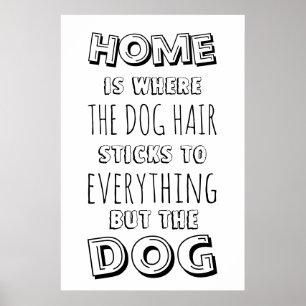 Funny Home & Dog Hair Quote Poster