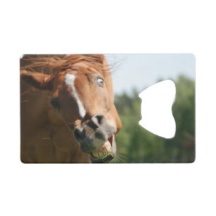 Funny Horse Face met gekrulde lips, Crazy Eye Kredietkaart Flessenopener