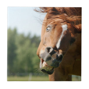 Funny Horse Face met gekrulde lips, Crazy Eye Tegeltje