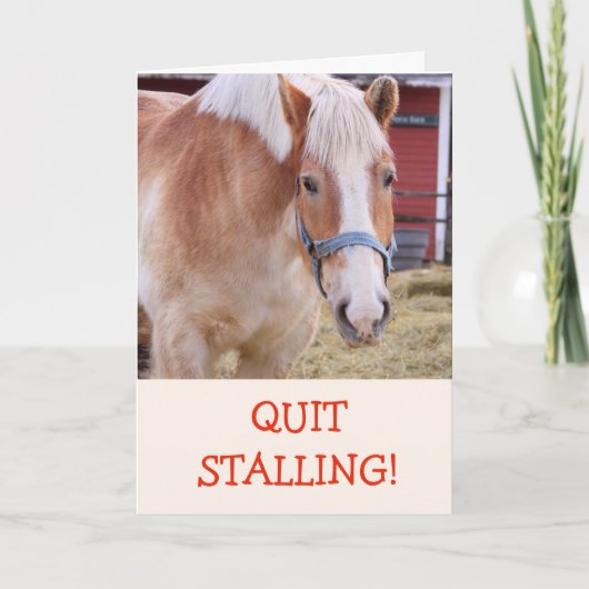 Funny Horse Joke Pun Obtenir Bonne Carte (Devant)