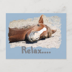 Funny Horse: Relax Briefkaart