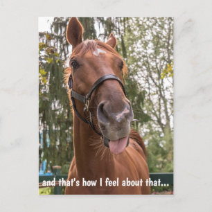 Funny Horse Stikking Out Tongue Briefkaart