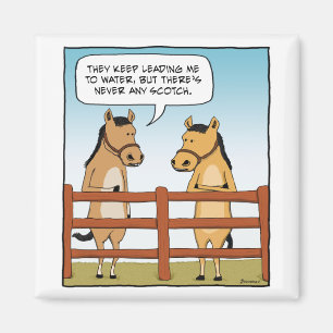 Funny Horse to Water magnet Magneet