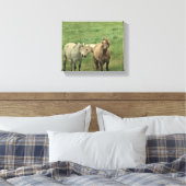 Funny Horses Canvas Afdruk (Insitu (Slaapkamer))