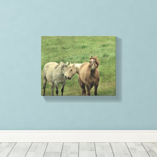 Funny Horses Canvas Afdruk (Insitu (Houten vloer))