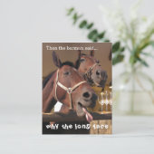 Funny Horses Long Face Animal Caption Briefkaart (Staand voorkant)
