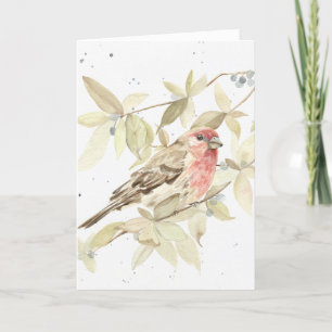 Funny - House Finch Bonne carte de voeux d'anniver
