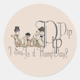 Funny Hump Day Camels in Monocles Ronde Sticker