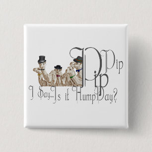 Funny Hump Day Camels in Monocles Vierkante Button 5,1 Cm