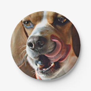 Funny Hungry Beagle Hound Dog Papieren Bordje