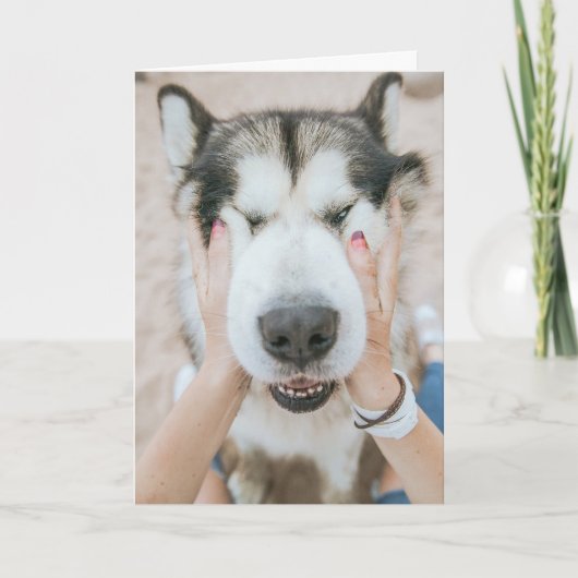 Funny Husky Chien Carte d'anniversaire (Devant)