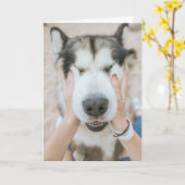 Funny Husky Chien Carte d'anniversaire (Fleur jaune)
