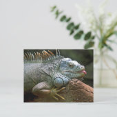 Funny Iguana Briefkaart (Staand voorkant)