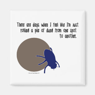 Funny insect magnet magneet